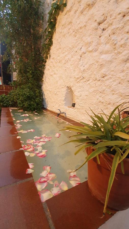 Casa Bambu Apartment Granada Exterior photo